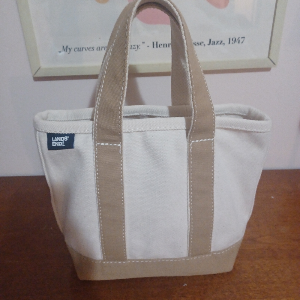 Lands End mini tote